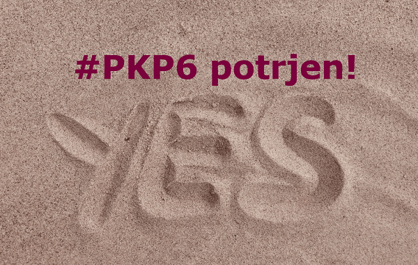 Inštitut za računovodstvo Vlada potrdila PKP6