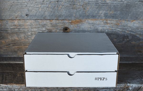PKP5 Inštitut za računovodstvo