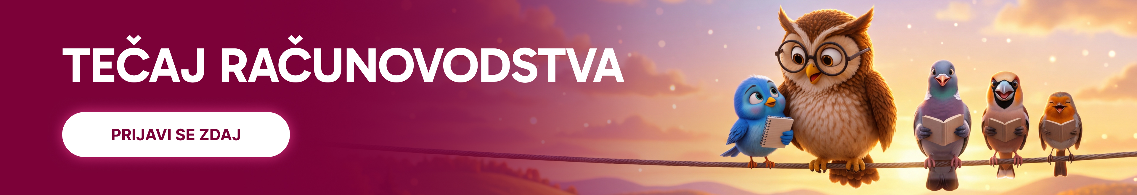 Pasica za tečaj računovodstva z velikim napisom »TEČAJ RAČUNOVODSTVA« in gumbom »PRIJAVI SE ZDAJ«. Na desni strani je ilustrirana sova z očali in več ptic na vrvi ob toplem sončnem zahodu.