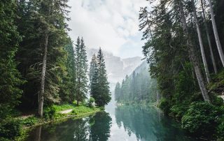 Pridobite subvencijo za zaposlovanje na zelenih delovnih mestih