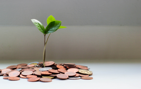 Višina minimalne plače v letu 2023