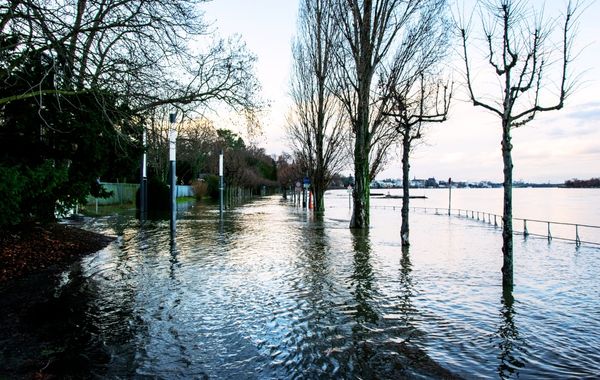 Slovenski podjetniški sklad ponuja 30 milijonov evrov kreditov IR