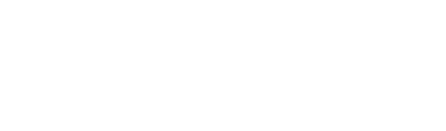 SRS 2025 tekst