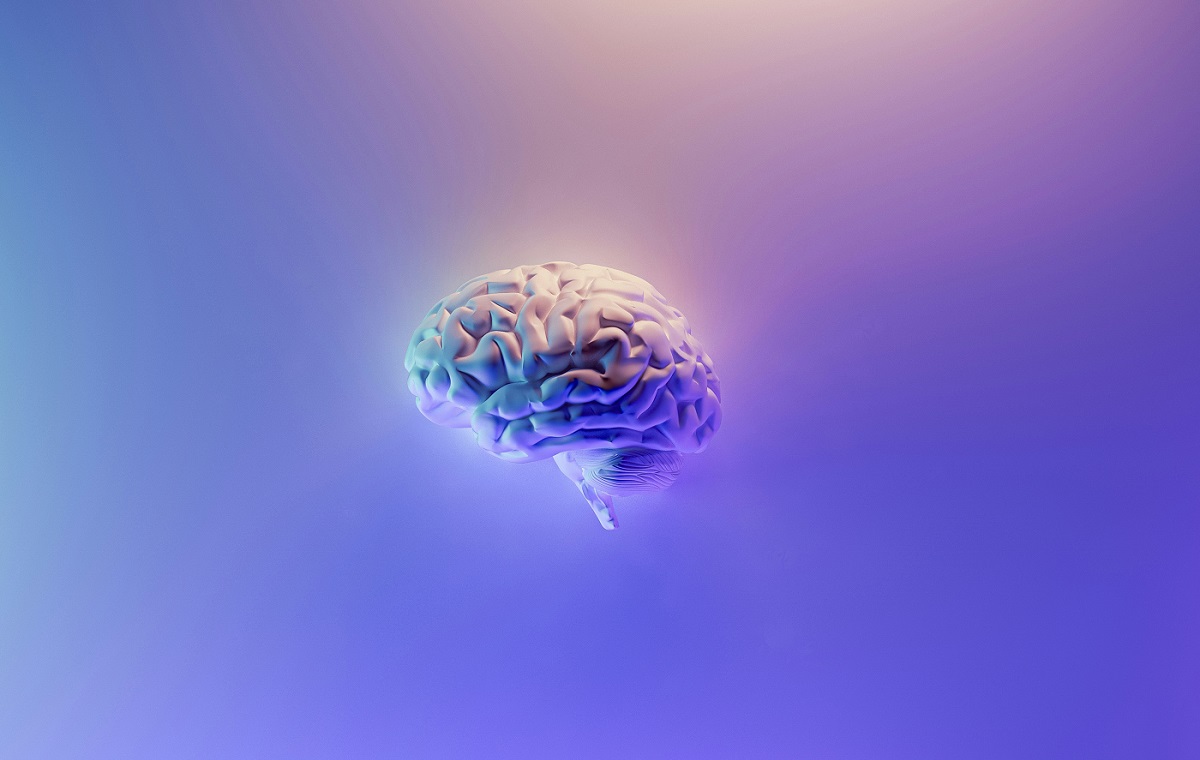 Slika prikazuje shemo možganov na modrem ozadju.