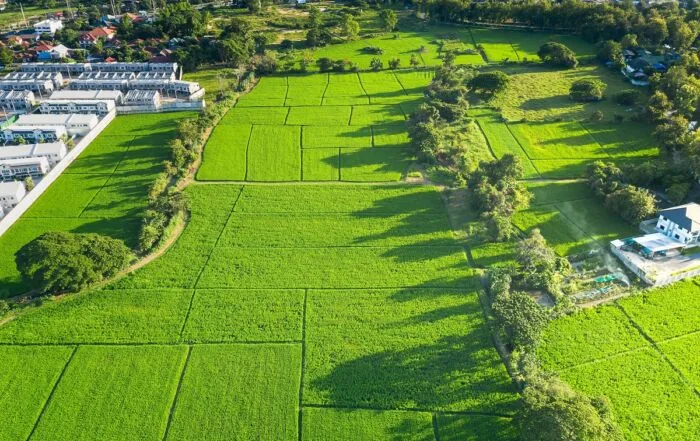 Zemljiške parcele iz ptičje perspektive. Vključuje krajino, zeleno polje, kmetijske parceleo. Zemljišče za stanovanjsko gradnjo.