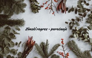 Božični motiv smrekove vejice in božična dekoracija s sredinskim napisom Zimski regres - poročanje.