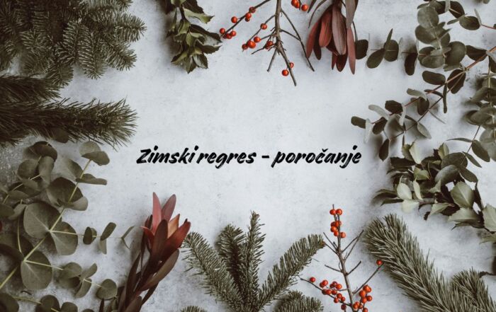 Božični motiv smrekove vejice in božična dekoracija s sredinskim napisom Zimski regres - poročanje.