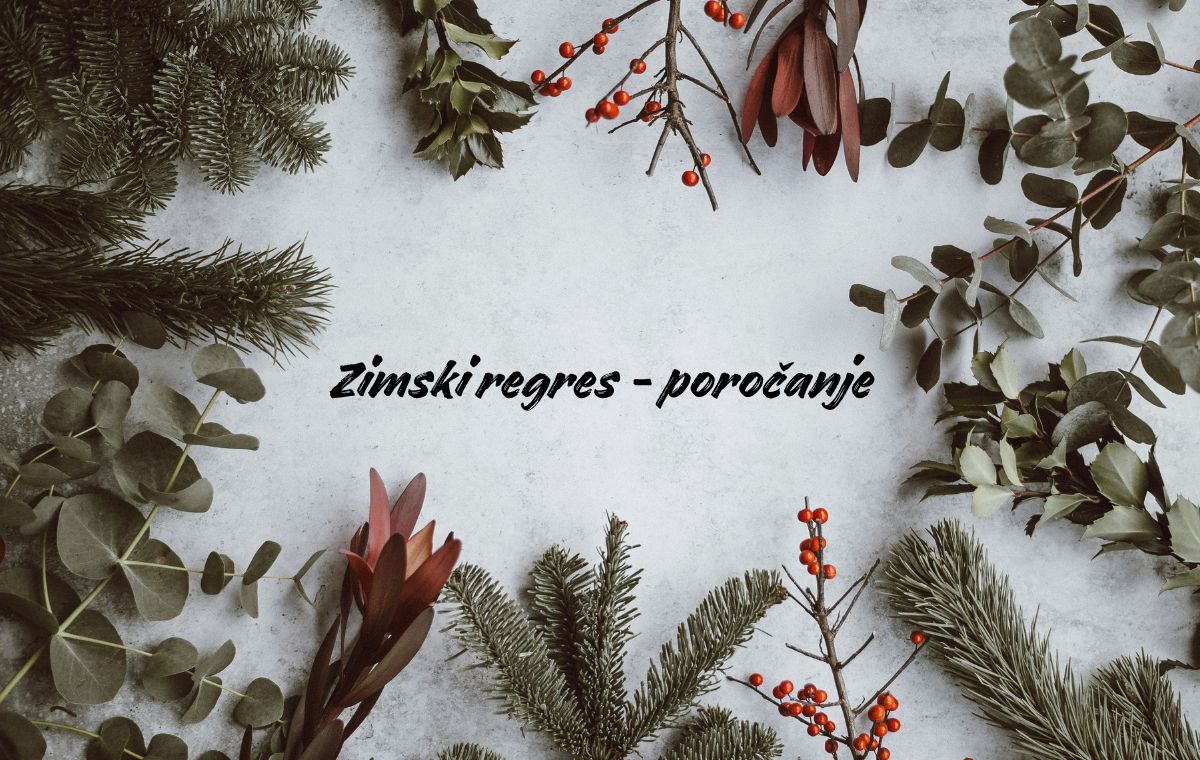 Božični motiv smrekove vejice in božična dekoracija s sredinskim napisom Zimski regres - poročanje.